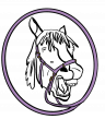 Equinital