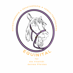 equinital 3